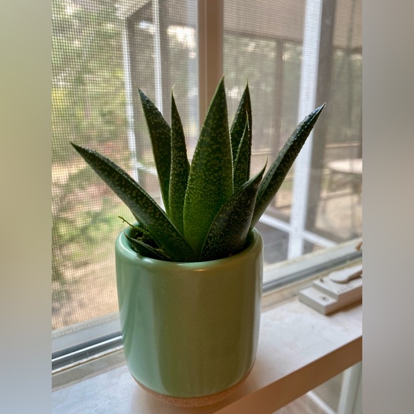 Meet your Posher, Devon 🔮 🪄 🌙 ✌🏼 ☮️ - Picture 8 of 15